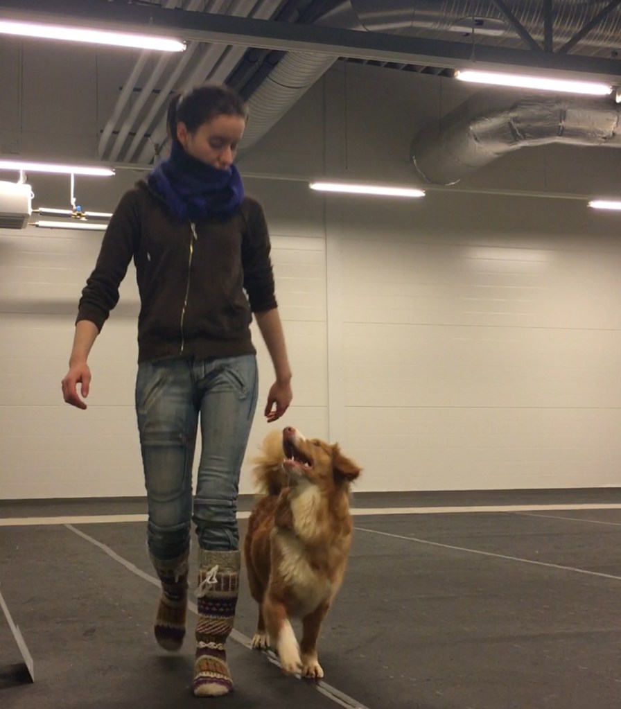 Tämän kuvan alt-attribuutti on tyhjä; Tiedoston nimi on 6e0ef21a-3e8b-4f20-9569-e0430cd90acf_1_201_a.jpeg